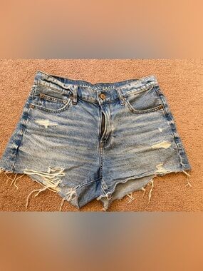 American Eagle Outfitters Distressed Light Blue Denim Shorts